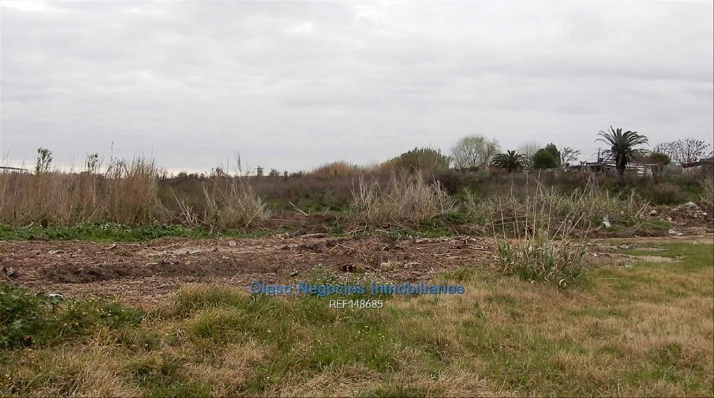 4 hás a la venta en CERRO NORTE