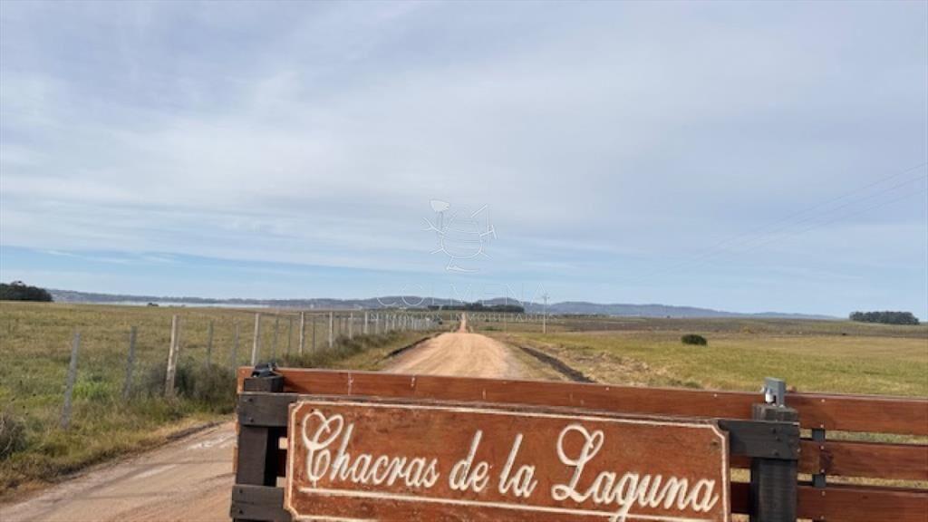 Chacras en Laguna del Sauce