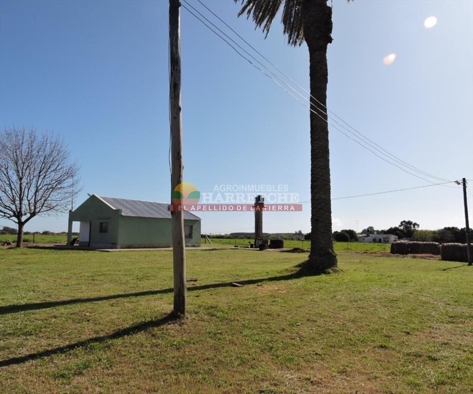 Campo en venta 18 has Canelones, con todas las