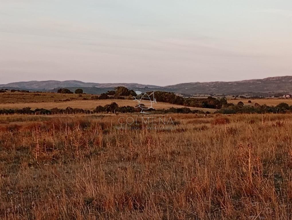 Campo 48 has en Paso Dutra