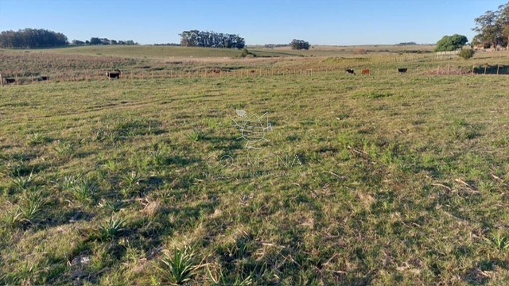 Campo 5 has cerca de la  R 104 y entre camino