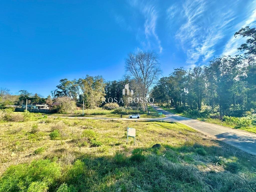 Venta Terreno Punta del Este