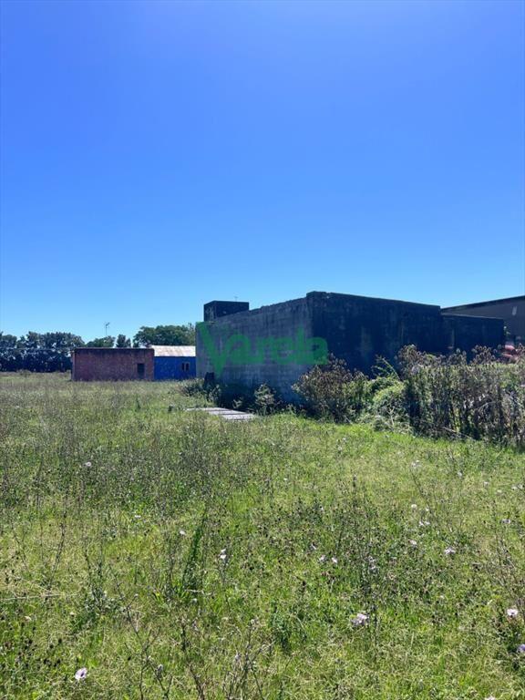 Venta Gran Terreno Con Galpon Sobre Mendoza Ideal