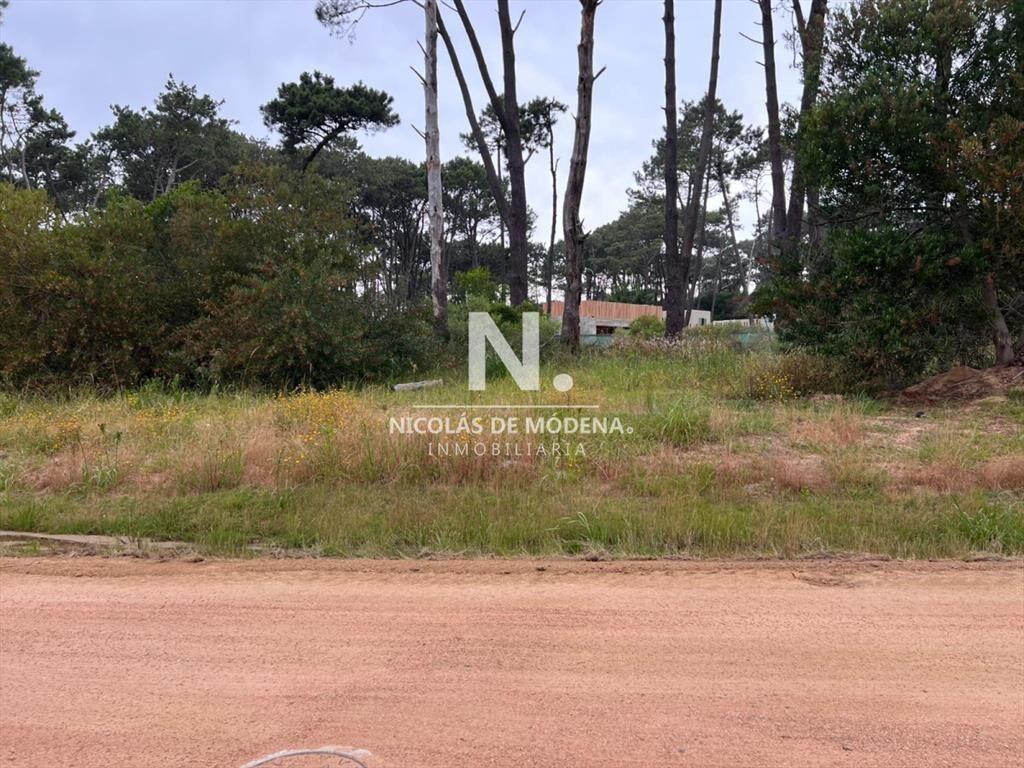 Vende terreno en Reserva Montoya.