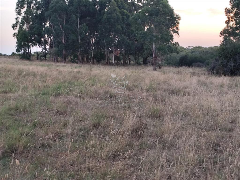 Campo de 30 has en Paso de Dutra