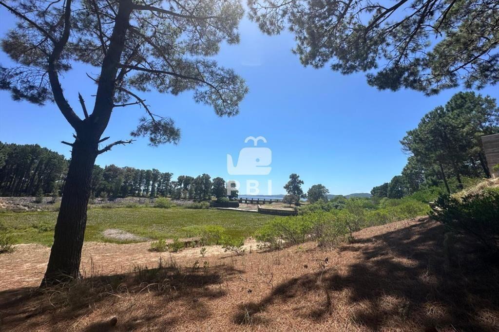 Terreno en venta en Club del Lago, Punta Ballena.