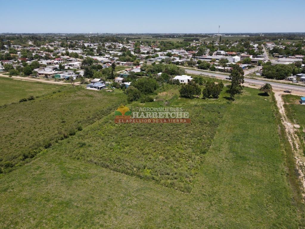 Terreno de 8000 m2 en Progreso, ideal