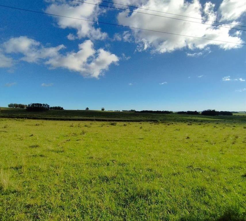 CHACRA EN VENTA SOBRE RUTA 9