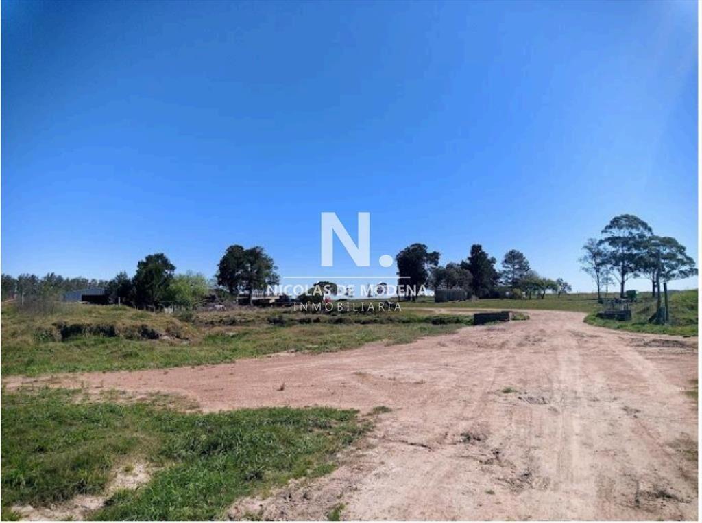 Vende Campo de 2 padrones en Treinta y tres.