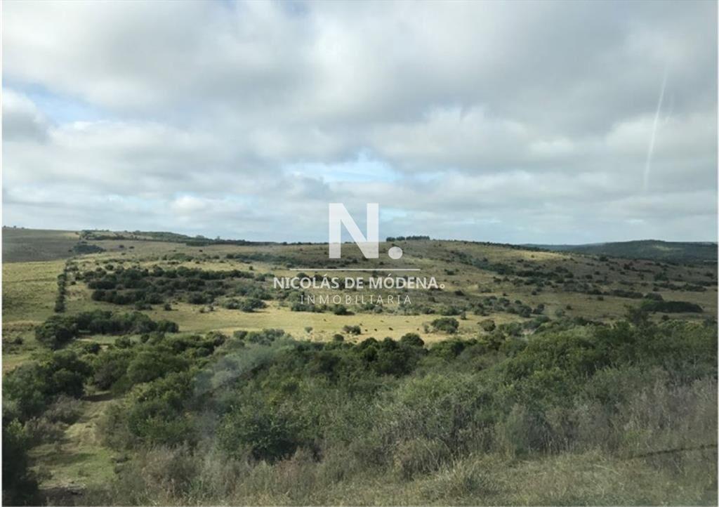 En venta campo criador en Montevideo - Treinta y