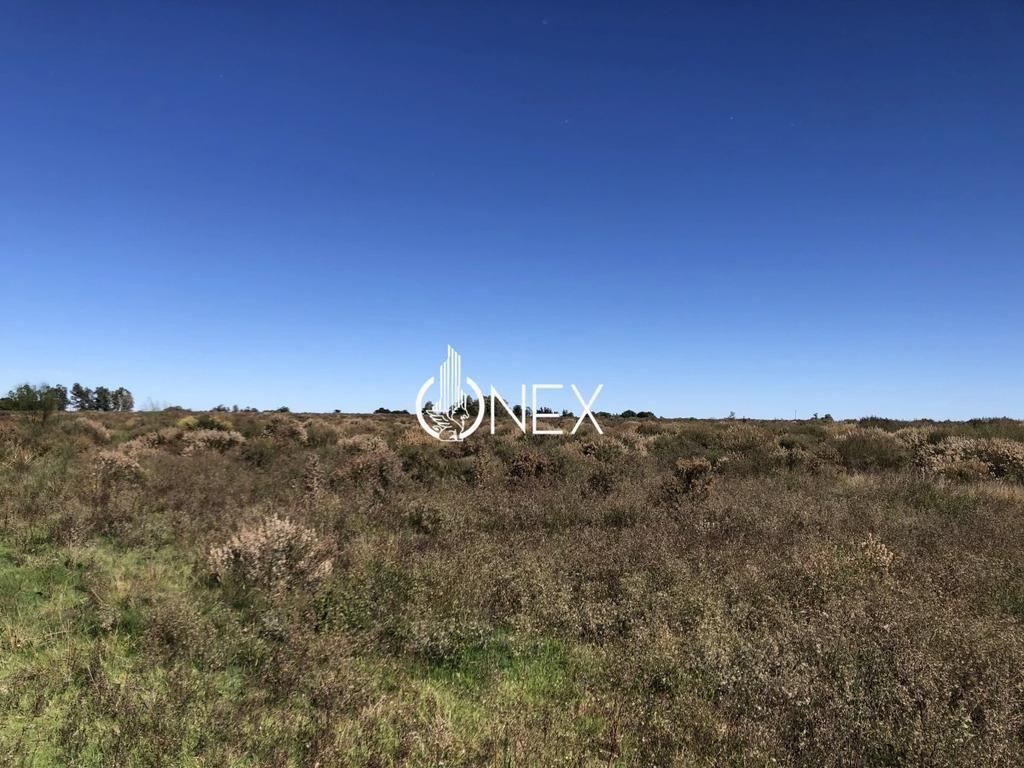 Se vende Chacra de 4ha más casa, sobre ruta