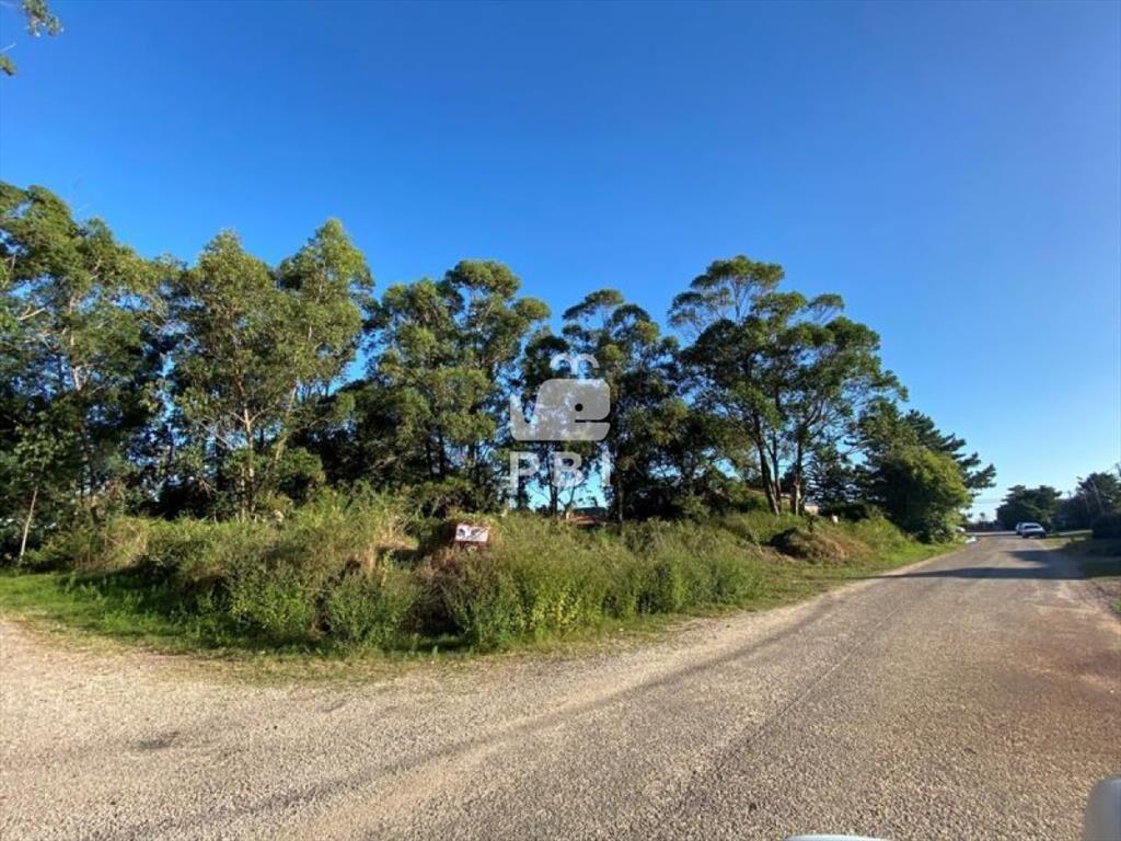 Terreno en venta Punta Ballena  - Ref : PBI1106
