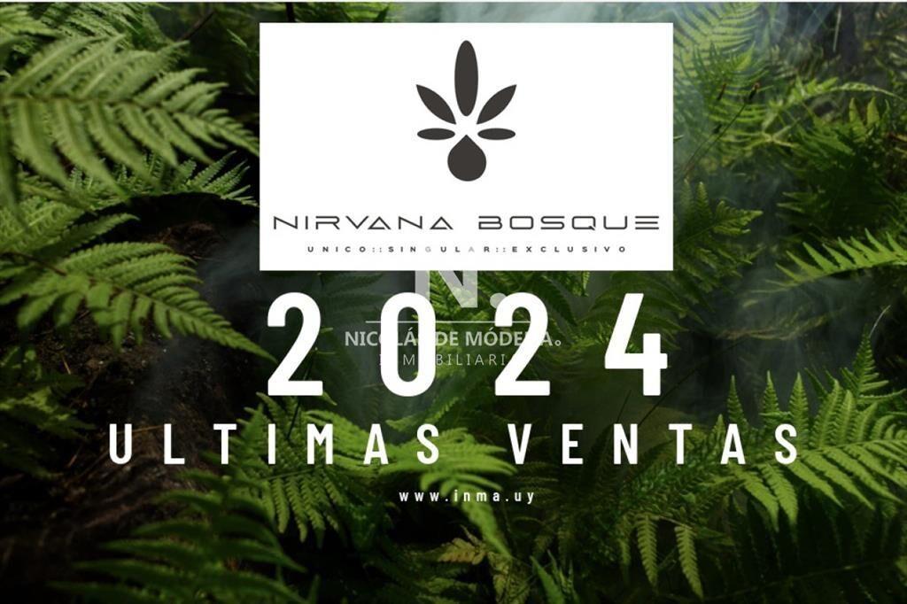 Vende lanzamiento en la mejor zona de playa Punta