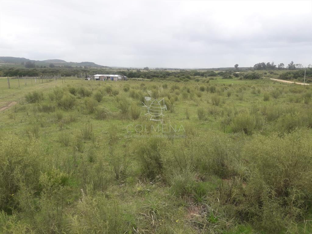Campo de 5 has con 5891 m2
