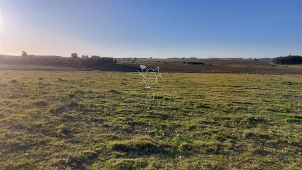 Campo 5 has cerca de la  R 104 y entre camino