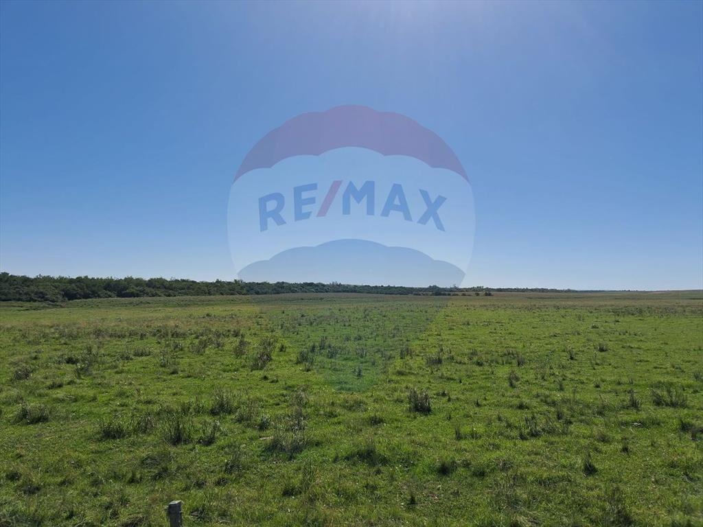 Venta Campo Río Negro - Ganadero Agrícola 350 has