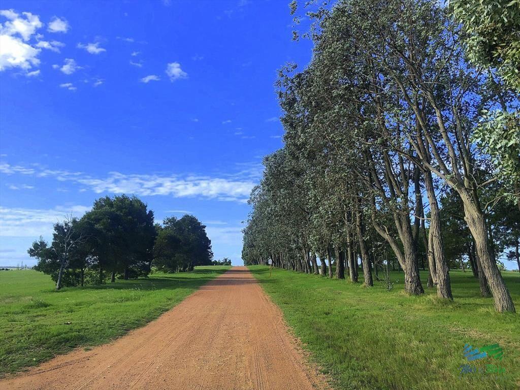Venta de terreno en Laguna de los Cisnes