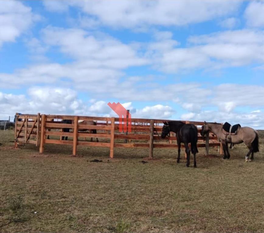 venta campo de 10hs Maldonado, Rincon de Los