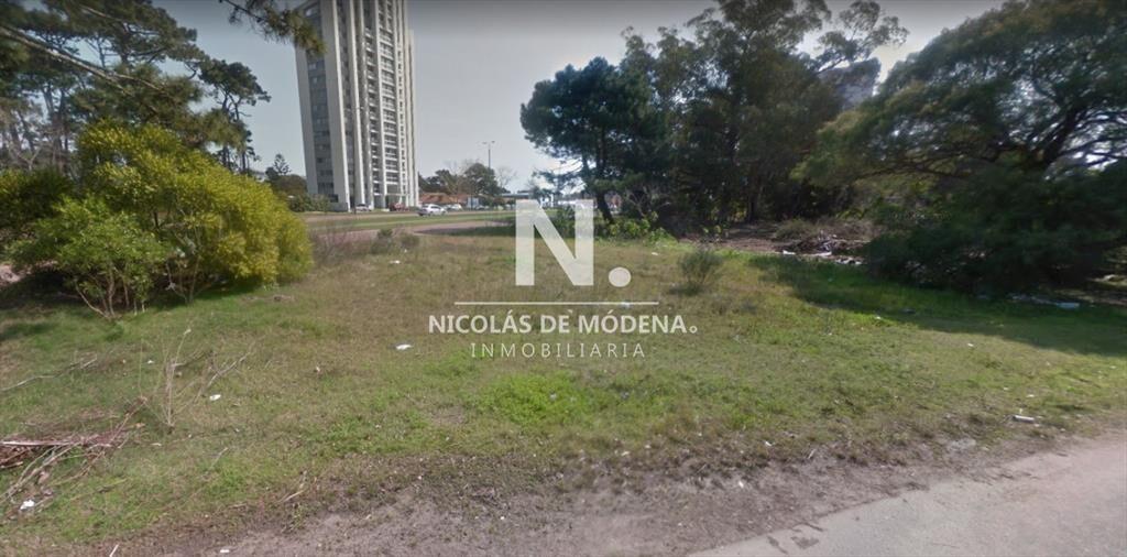 Terreno en Venta y Alquiler en zona Roosevelt,