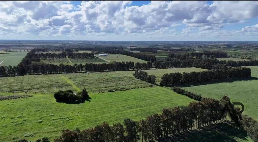 Campo en venta de 78m2 ubicado en Melilla