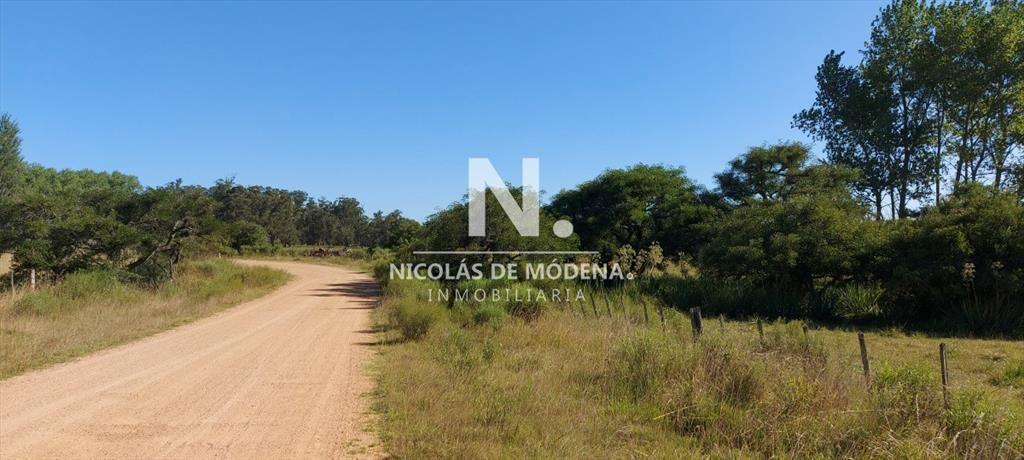 Venta fracción de campo en zona La Pataia