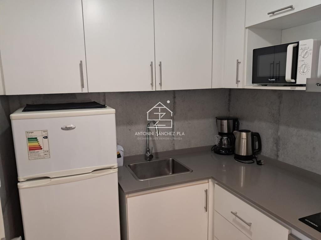 APARTAMENTO EN ALQUILER EN PENINSULA