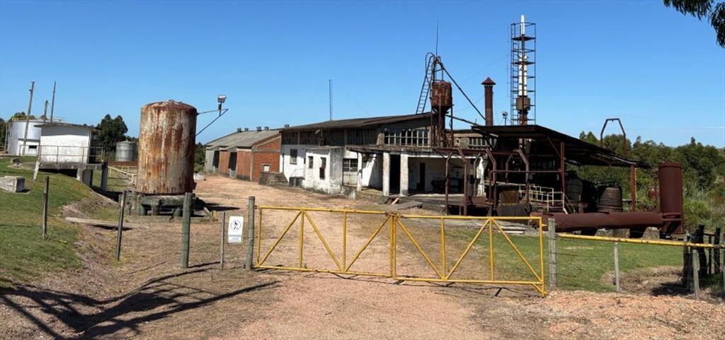 VENTA CHACRA PUNTA YEGUAS 33 HAS