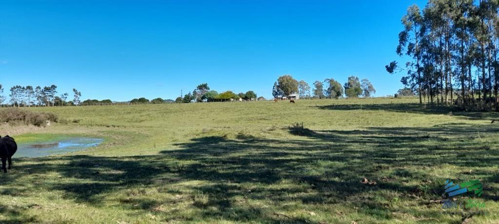 Buen campo agrícola, muy bien ubicado. 83 Has