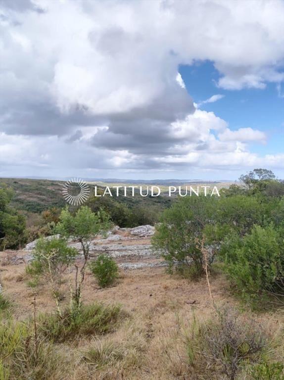 Chacra 11ha en Maldonado vende o permuta.