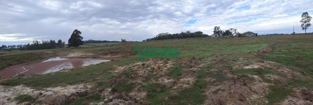 Venta de Chacra, Ruta 11, km.152, de 3,5 has. a