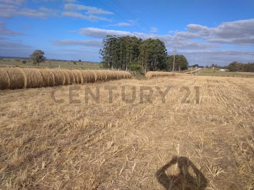 Venta Campo Productivo en Lavalleja de 26,5 hectáreas. Ru...
