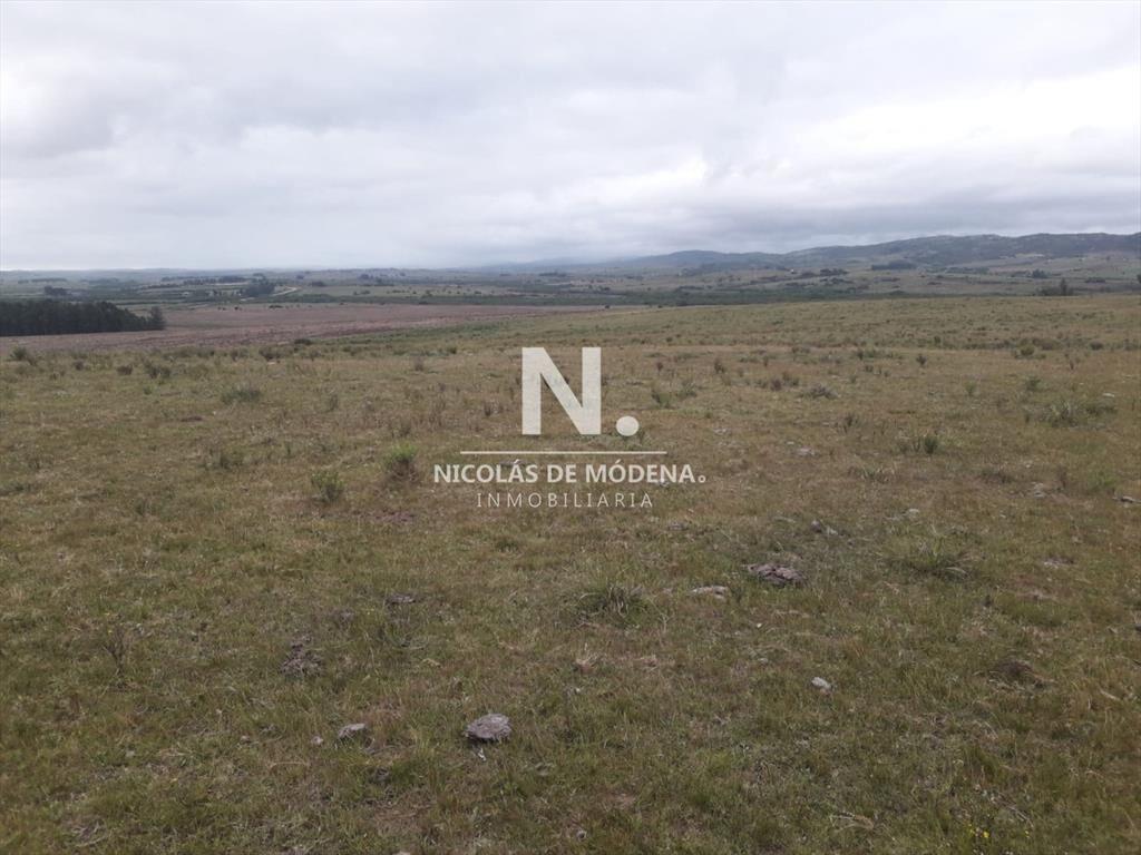 Campo de 47 has en Paraje los Caracoles - !!!!!