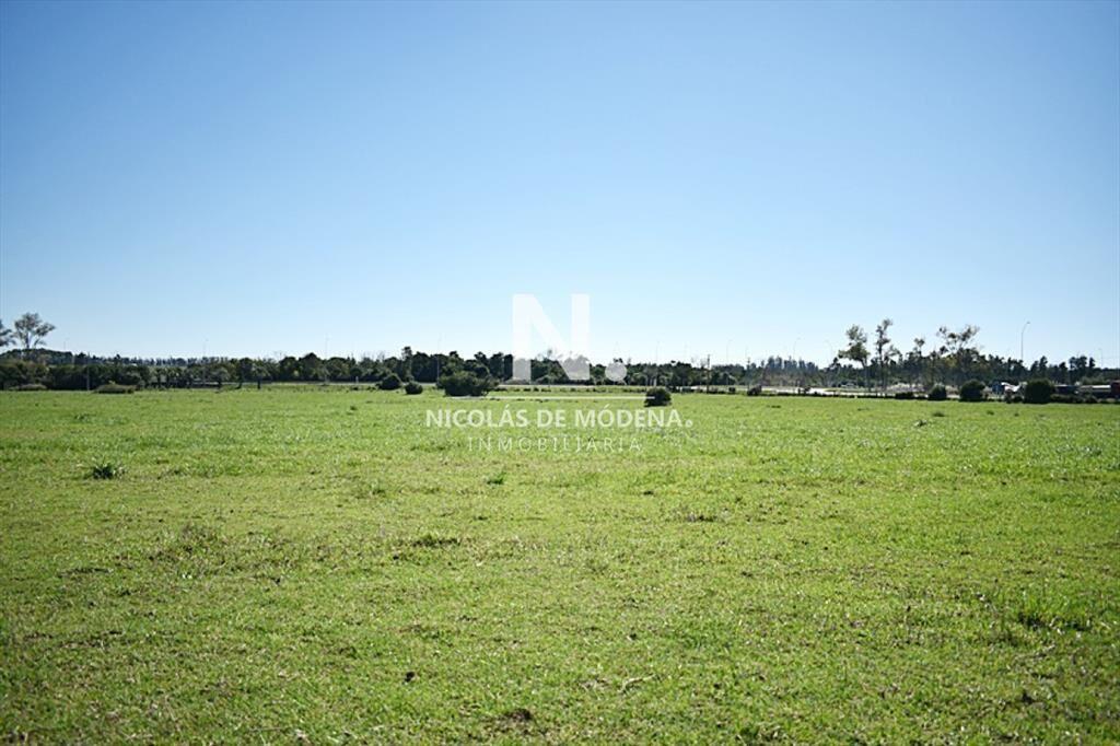CHACRA SAN CARLOS RUTA 9