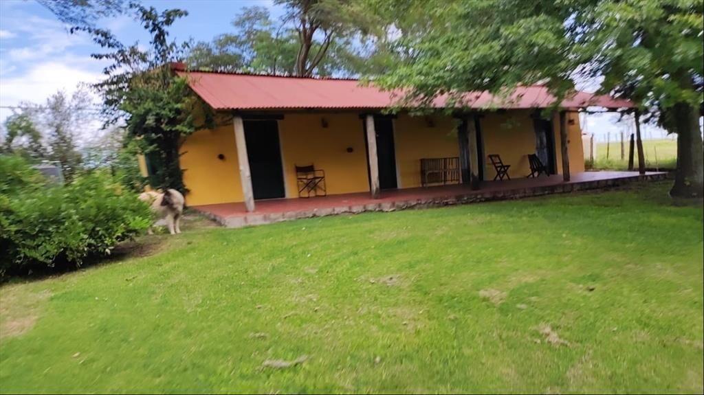 Oportunidad única: chacra de 6 ha con piscina y 6 dormitori