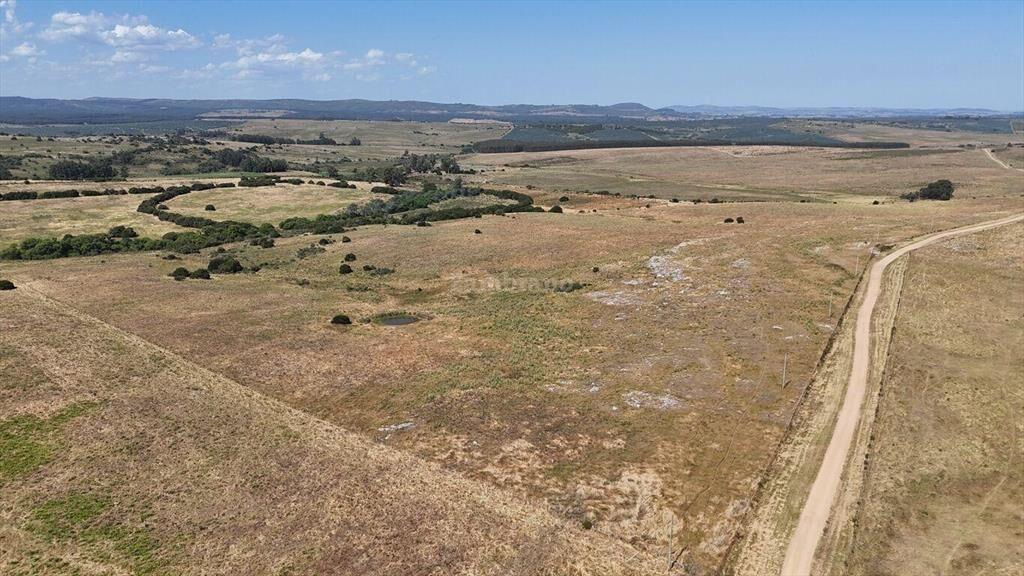 Campo Ganadero en Maldonado