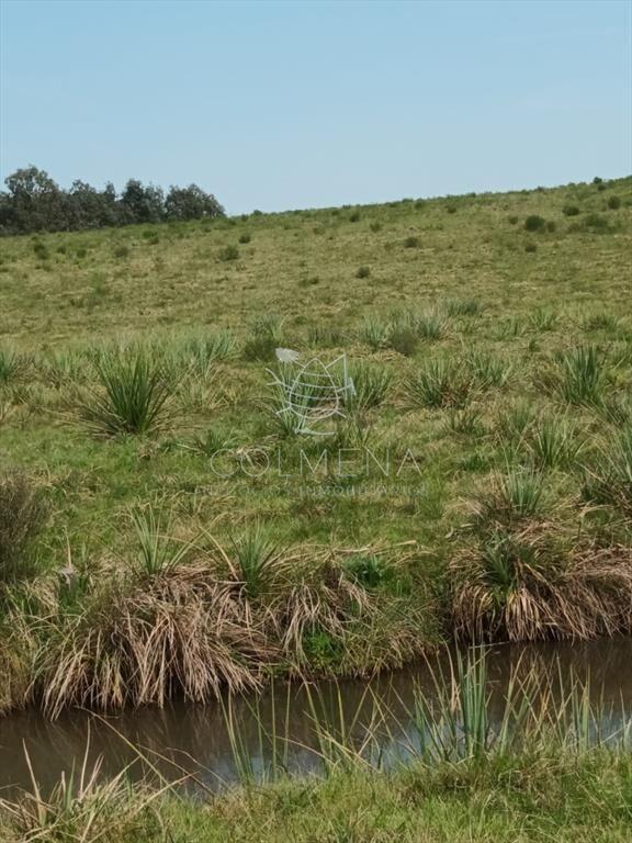 Campo en paraje Jose Ignacio cerca de la ruta 9