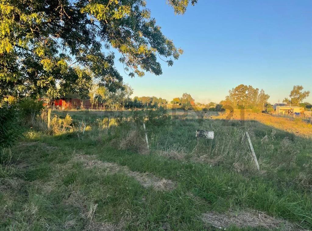 Venta |terreno,Paso Espinosa, carretera Lema, Ruta 62, Ca...