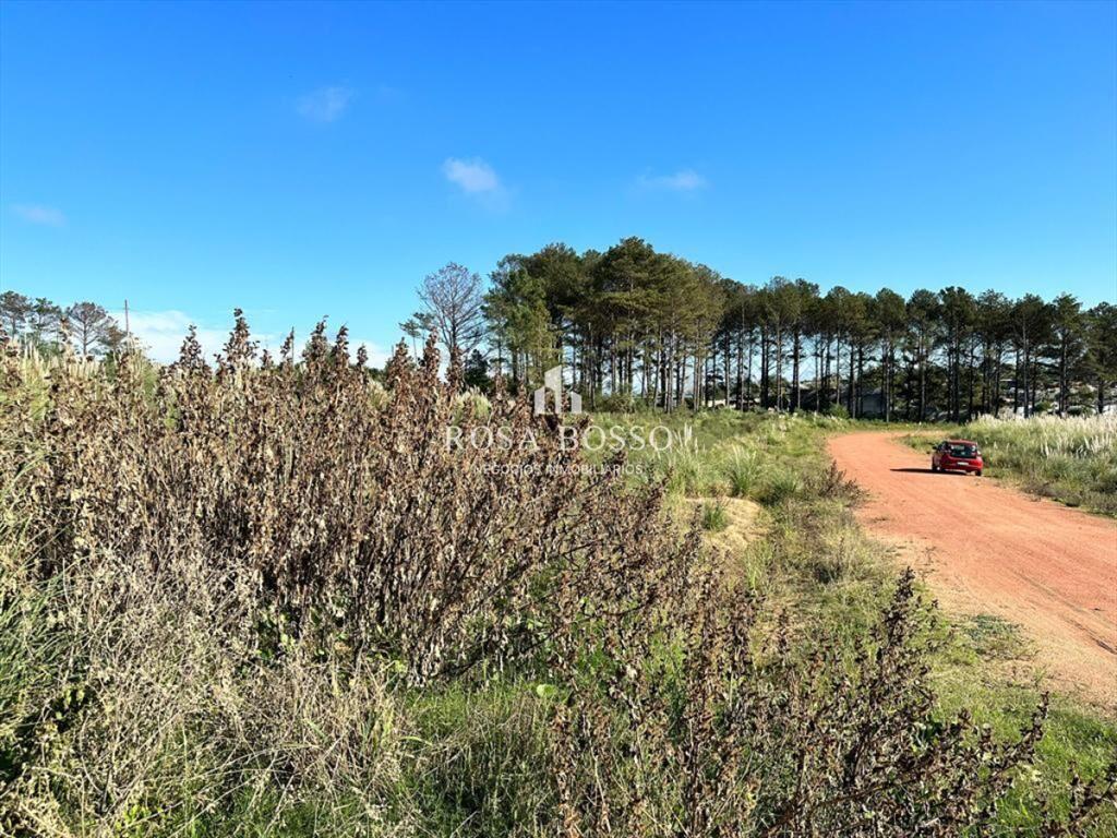 Terreno, Venta, Maldonado, Altos de la Laguna