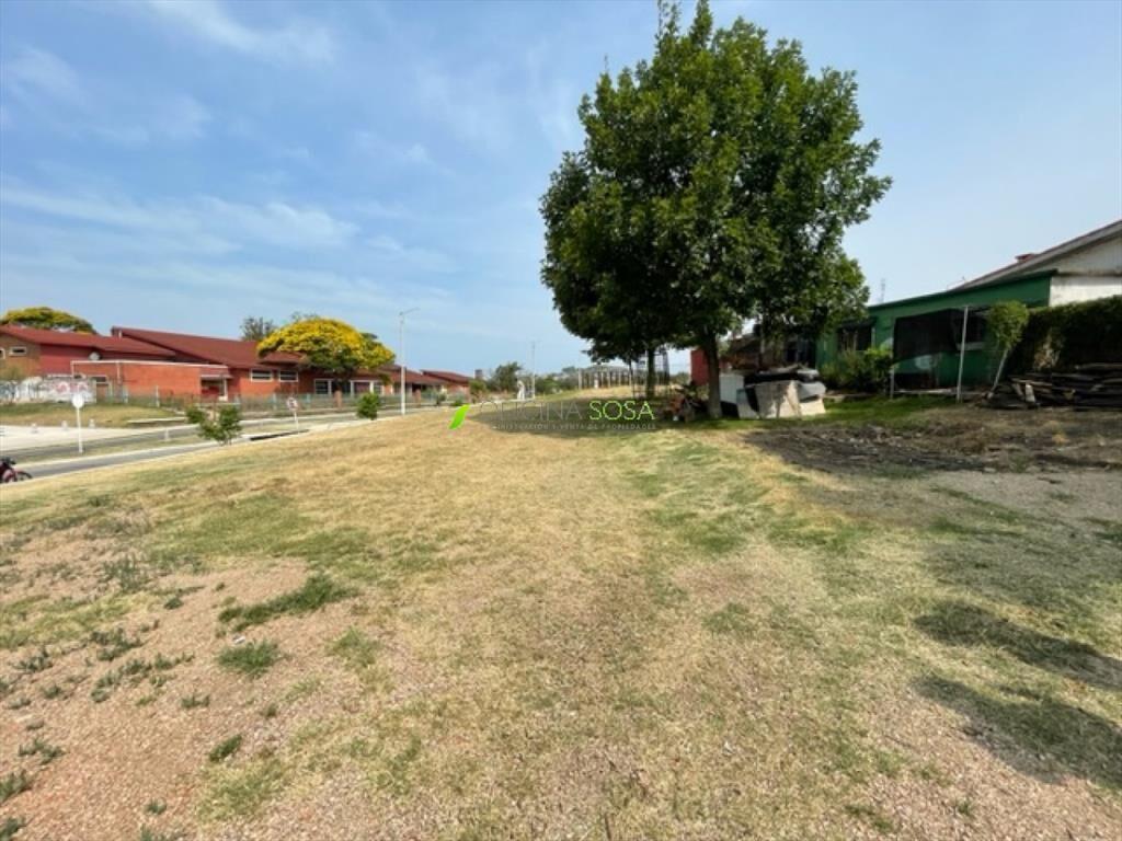 TERRENO DE 981 METROS SOBRE AVENIDA CIBILS PROX A CARLOS M