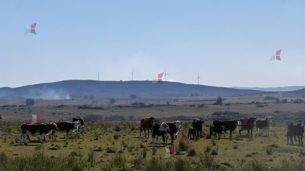 VENTA DE CHACRA EN RUTA 39 SAN CARLOS