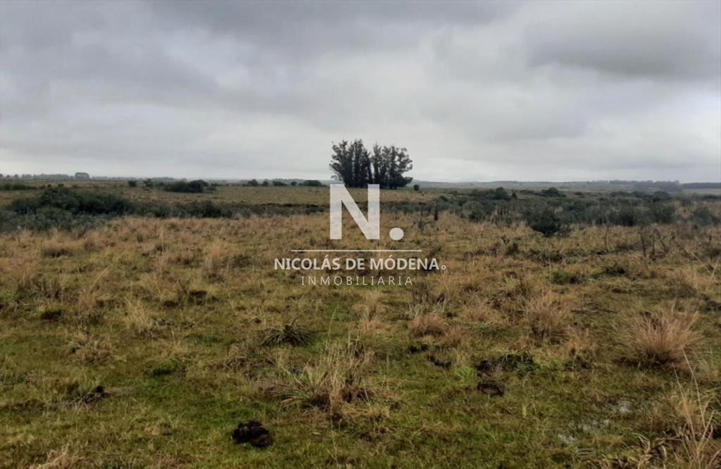 Campo en Maldonado - Garzon en venta.