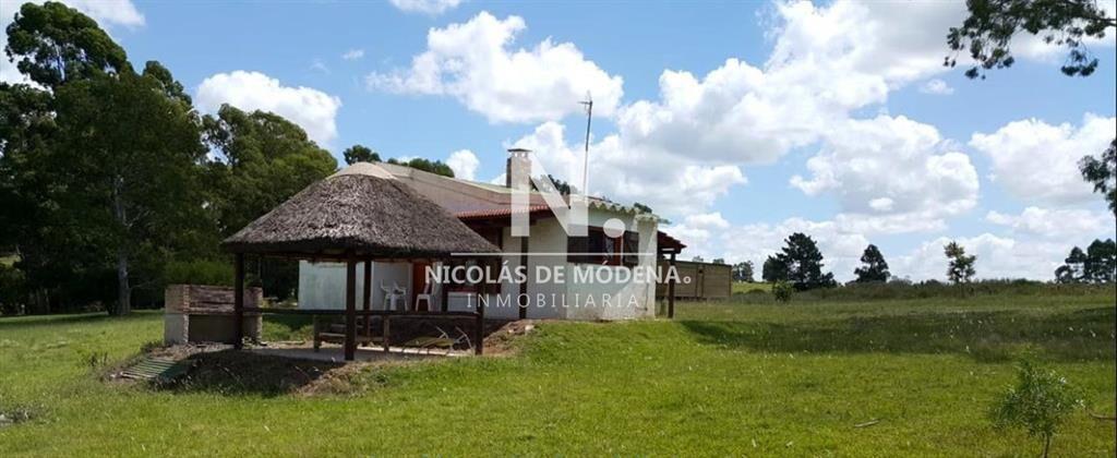 Hermoso campo
