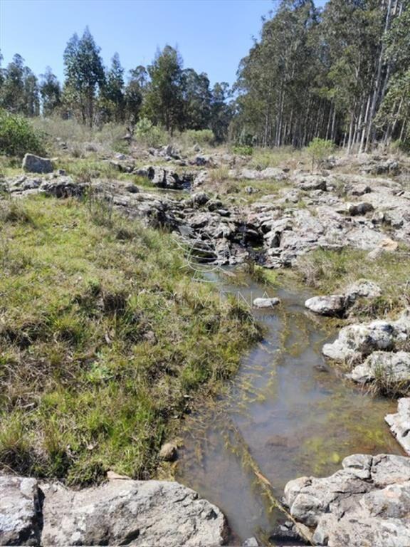 Campo 5 has en Partido Norte a 38 km de Punta del