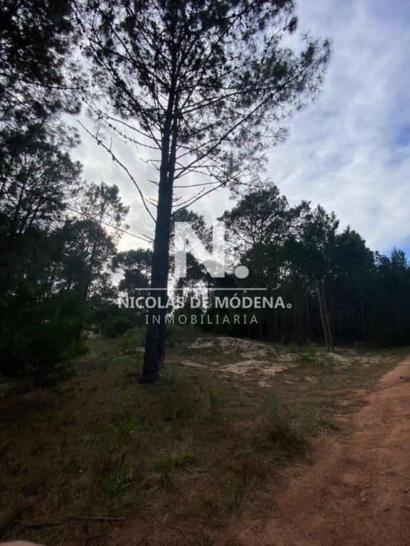 OPORTUNIDAD. TERRENO EN VENTA EN CLUB DEL LAGO,