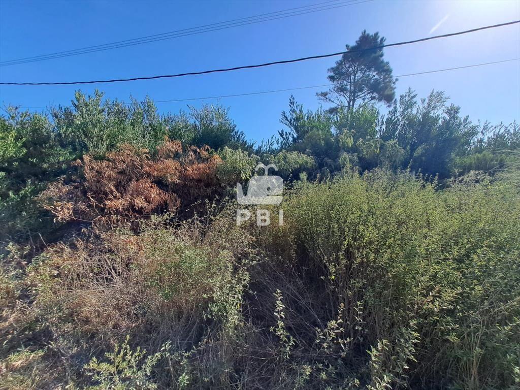 Venta de lote. Oportunidad con vista al Mar !
