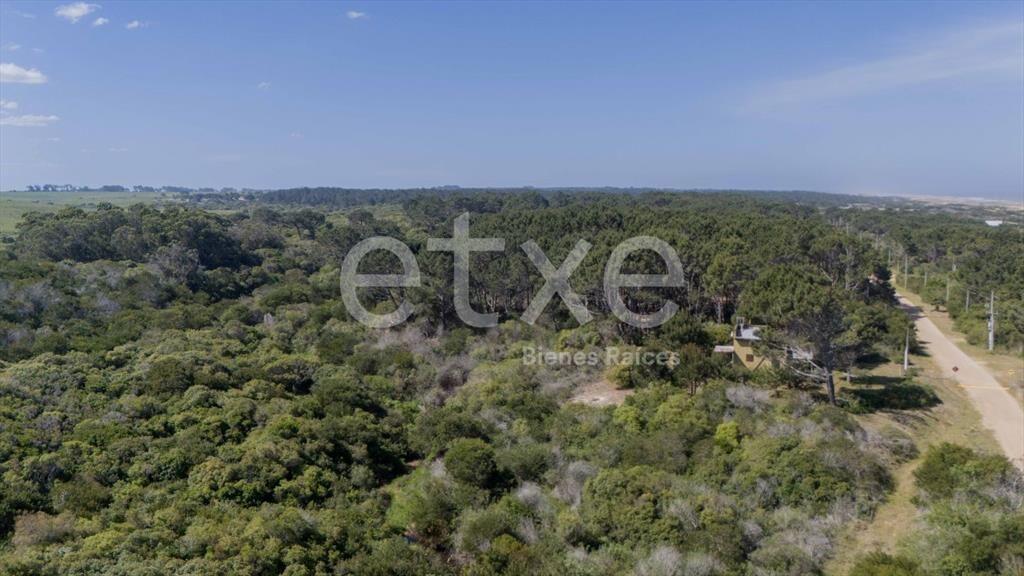 Terreno en Venta San Anotnio Rocha...