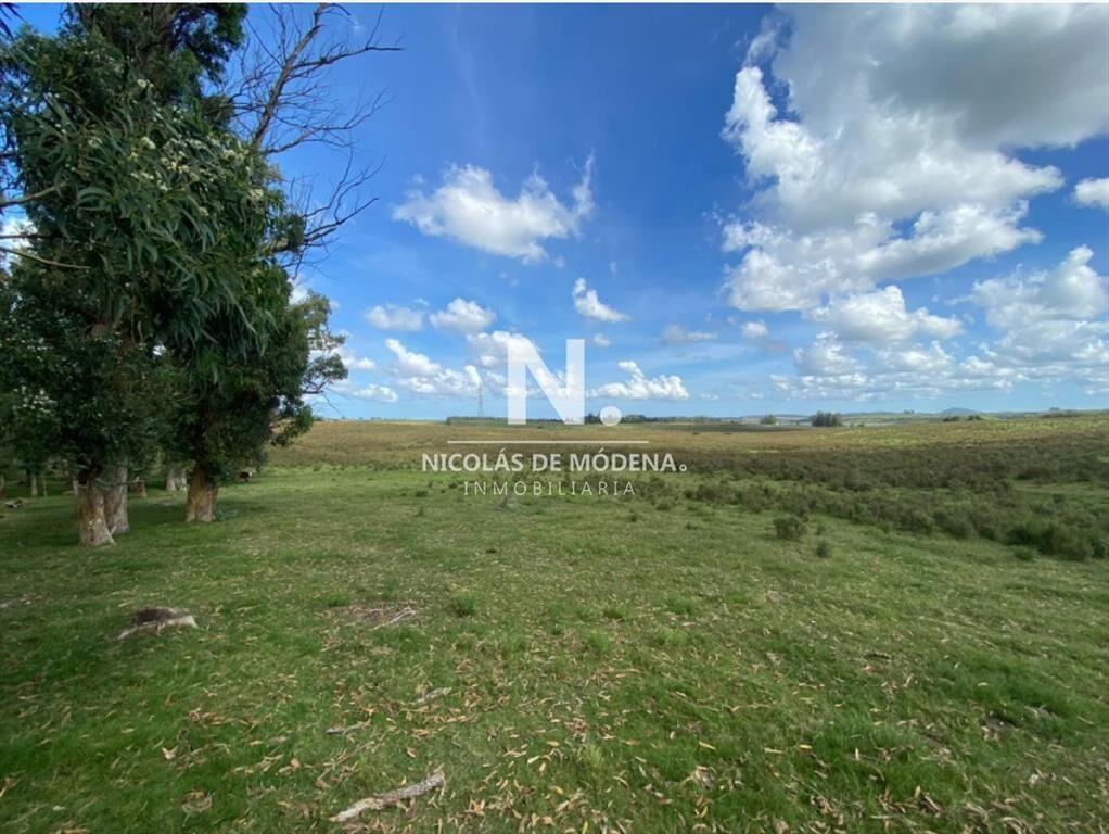 Venta Campo en Maldonado