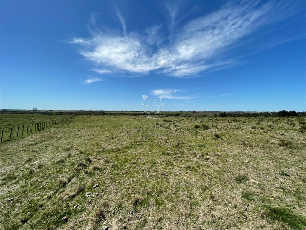 Muy linda parcela de campo sobre ruta a pocos Km