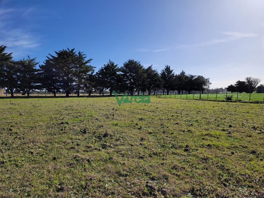 Chacra a la venta en Atlantida