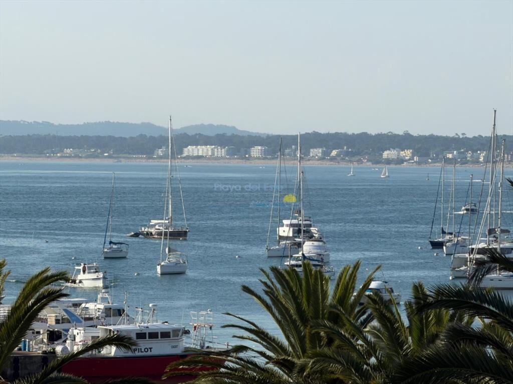 Apartamento en venta de 3 dormitorios en Punta ,